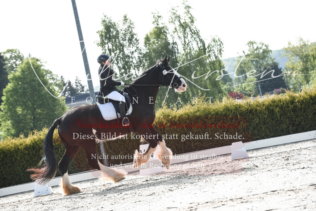 20230518_JK-Röhrsdorf-09-0942 | Pferde- und Turnierfotografie in Westsachsen. Pferdeportraits, Auftragszeichnungen und intuitive Kunst.