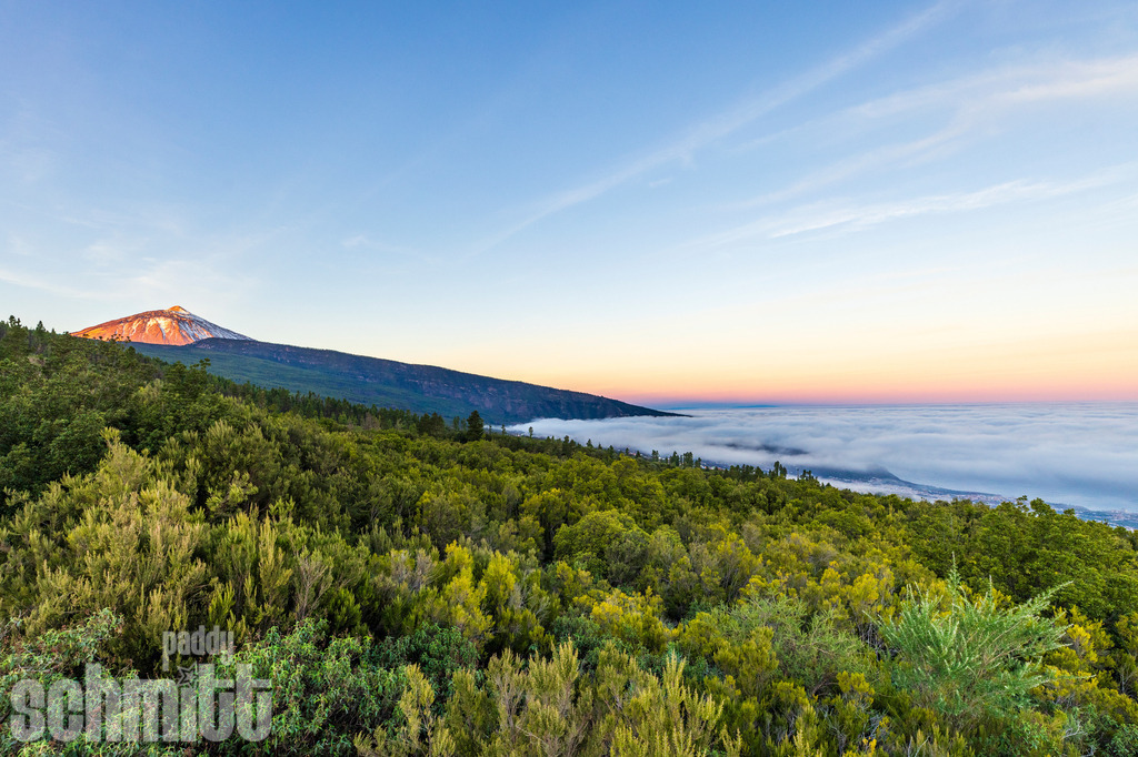 PS-Teneriffa-2026-48 | Entdecke die größte Bildgalerie der Region mit Fotografien aus dem Allgäu, der Bodenseeregion, Oberschwaben, dem Donautal und der Schwäbischen Alb. Landschaften, Luftaufnahmen und Reisefotografie als Wandbild und Fotokunst. - Realisiert mit Pictrs.com