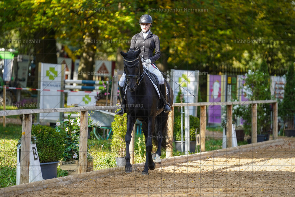 20221007-FAH00015 | Diessen am Ammersee, 2022, Dressur- und Springturnier, Reitsportbilder, Turnierfotografen Bayern, Pferdefotografen, Fotoagentur Herrmann, Turnierbilder