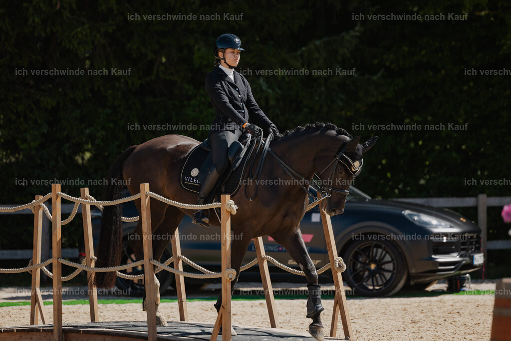 Leonie24_FHC2025-25 | working equitationturnier fotograf videograf stoibphotography marixx film working equitation deutschland reitsport turnierfotografie eventfotografie equestrian events