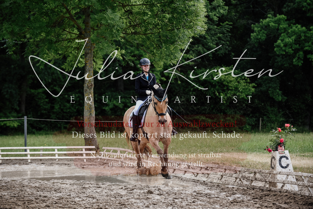 DSC_1711 | Pferde- und Turnierfotografie in Westsachsen. Pferdeportraits, Auftragszeichnungen und intuitive Kunst.