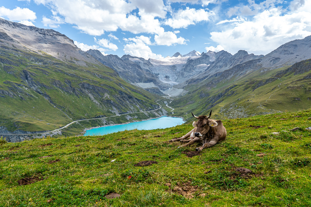 _DSC0237 | <meta name="keywords" content="Bergbilder, Hochzeitsfotografie, Actionshootings, Fotografiearbeiten, Berglandschaften, Naturfotografie">

 - Realisiert mit Pictrs.com