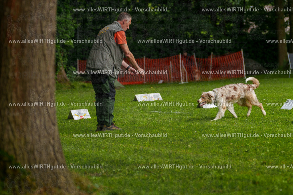 @allesWIRTHgut_Tierfotografie - www.allesWIRTHgut.de - 7R502847 | Professionelle Tierfotografie in Mönchengladbach von Daniel Wirth (allesWIRTHgut). Liebevolle & natürliche Bilder von Hunden & Katzen für unvergessliche Erinnerungen.