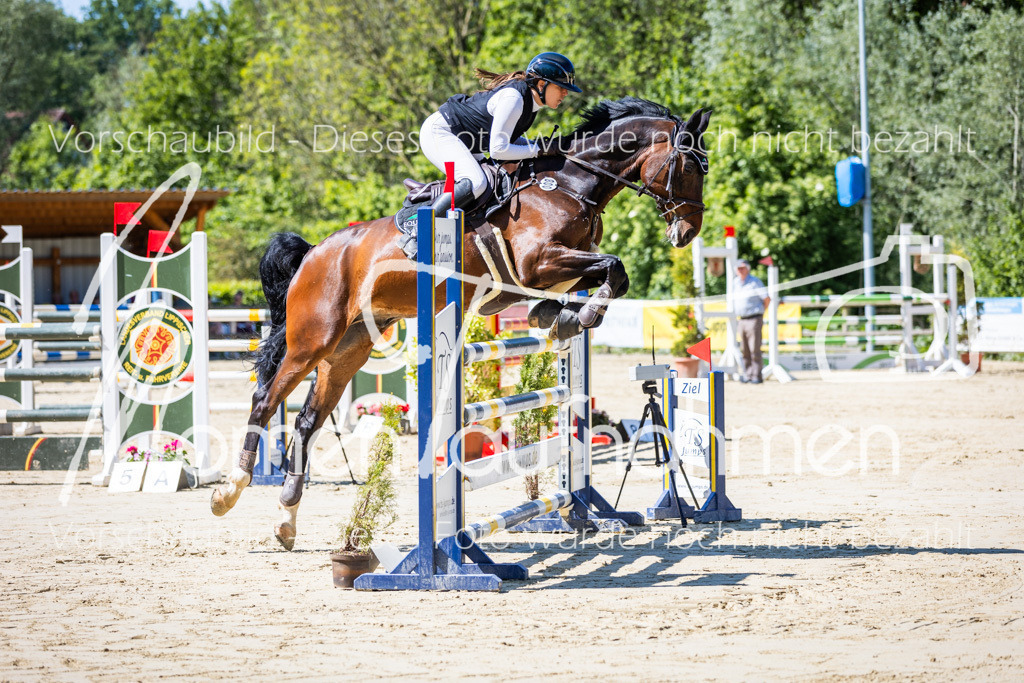 Donop24-M-Spr-007 | MomenTaufnahmen Pferdesportfotos