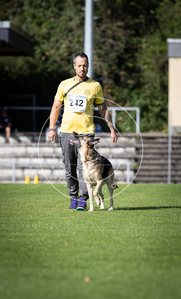 Pfotenfotografie_DV3A4921 | Hundefotografie, Tierfotograf, Pfotenfotografie, Fotoshooting Hund, Hunde Portrait, Hundesport, Hundeportraits, Heideshooting, Hunde, Sportfotograf, Hundefotograf, Turnierhundsport, THS,  - Realisiert mit Pictrs.com
