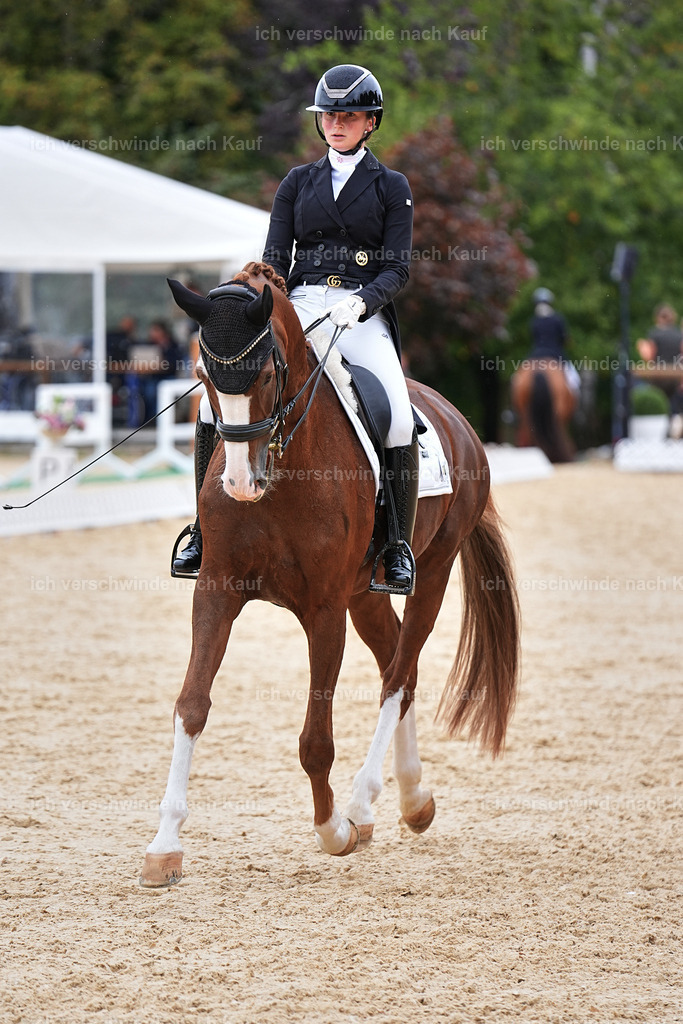 11-201-Dressur S___-Marixx-1766 | working equitationturnier fotograf videograf stoibphotography marixx film working equitation deutschland reitsport turnierfotografie eventfotografie equestrian events