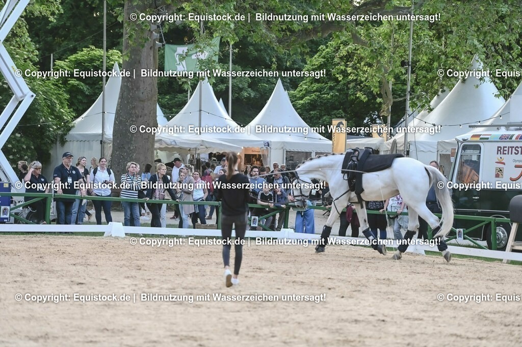 D78_3359 | equistock