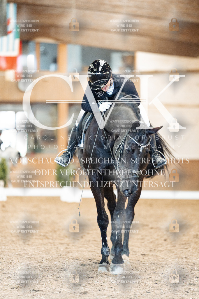 CK909555 | Turnierfotografie Pferdefotografie Trier Rheinland-Pfalz Pferdesport Reitsport Tierfotografie Sportfotografie Pferdevideo Pferdevideografie Equestrianvideography equestrianphotography  - Realisiert mit Pictrs.com