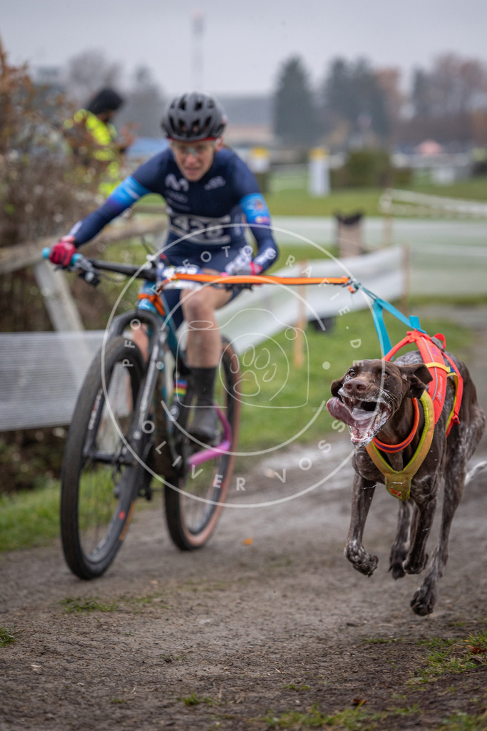 CaniXpix_0L8A1263 | Hundefotografie, Tierfotograf, Pfotenfotografie, Fotoshooting Hund, Hunde Portrait, Hundesport, Hundeportraits, Heideshooting, Hunde, Sportfotograf, Hundefotograf, Turnierhundsport, THS,  - Realisiert mit Pictrs.com