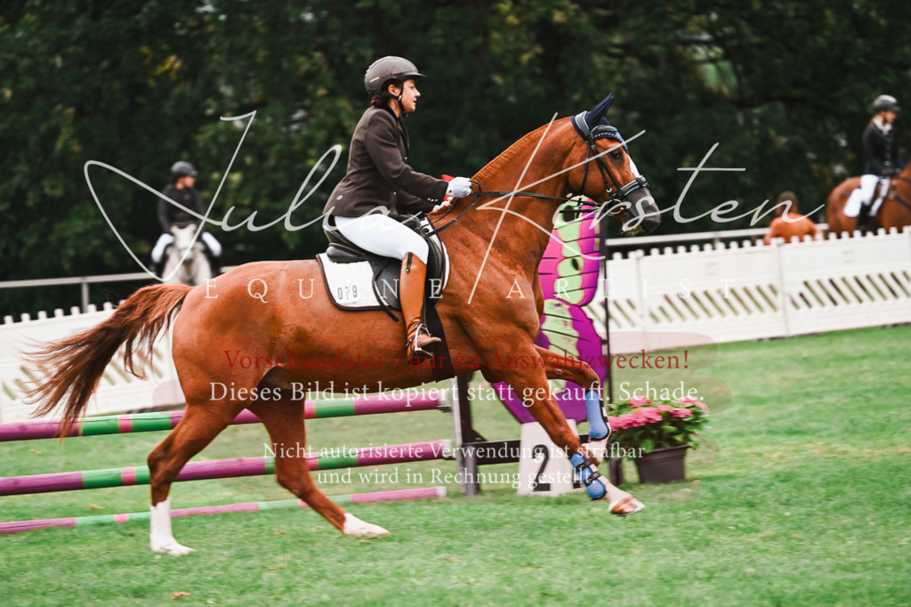 DSC_5892 | Pferde- und Turnierfotografie in Westsachsen. Pferdeportraits, Auftragszeichnungen und intuitive Kunst.