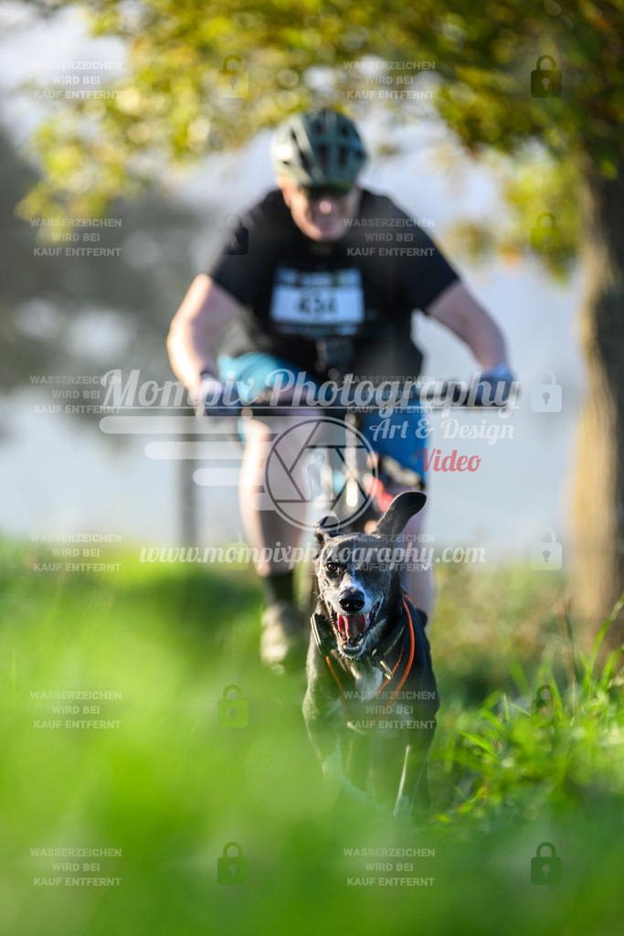 MompixPhotography_20TSB_E3_Bike-211 | PayLife