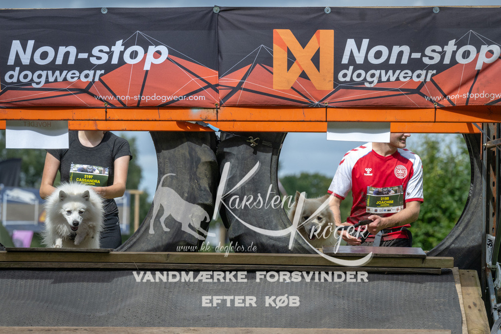 1400_ZZ90677 | kk-dogfotos