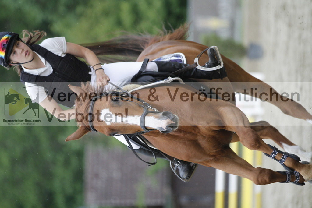 _MG_6598 | equestrian-live-com