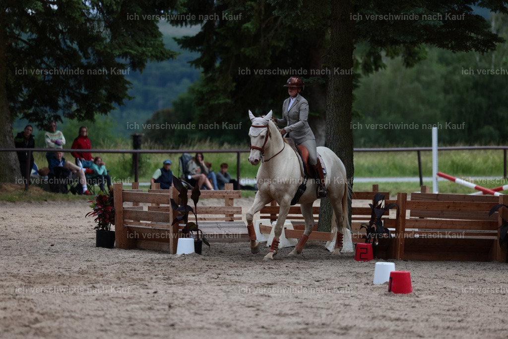 Masterclass_stoibphotography_C2_L6921.JPG | working equitationturnier fotograf videograf stoibphotography marixx film working equitation deutschland reitsport turnierfotografie eventfotografie equestrian events