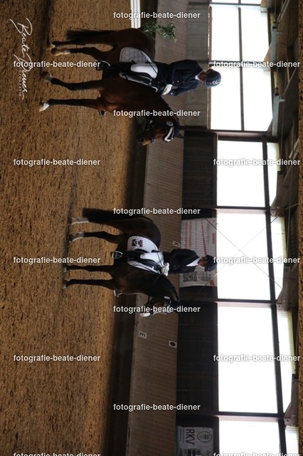 JugendTrophy0071 | Fotografie, Tiere, Hunde, Katzen, Pferde, Sportfotografie, Fotosession, Tierfotografie, Turnierfotografie, Fotografin, Fotograf - Realisiert mit Pictrs.com