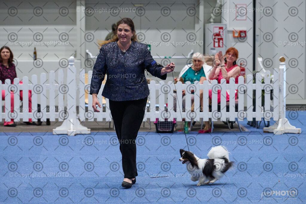 202406_ÖKV-IHA-Tulln24_DSC_3221 | proPHOTO - Realisiert mit Pictrs.com