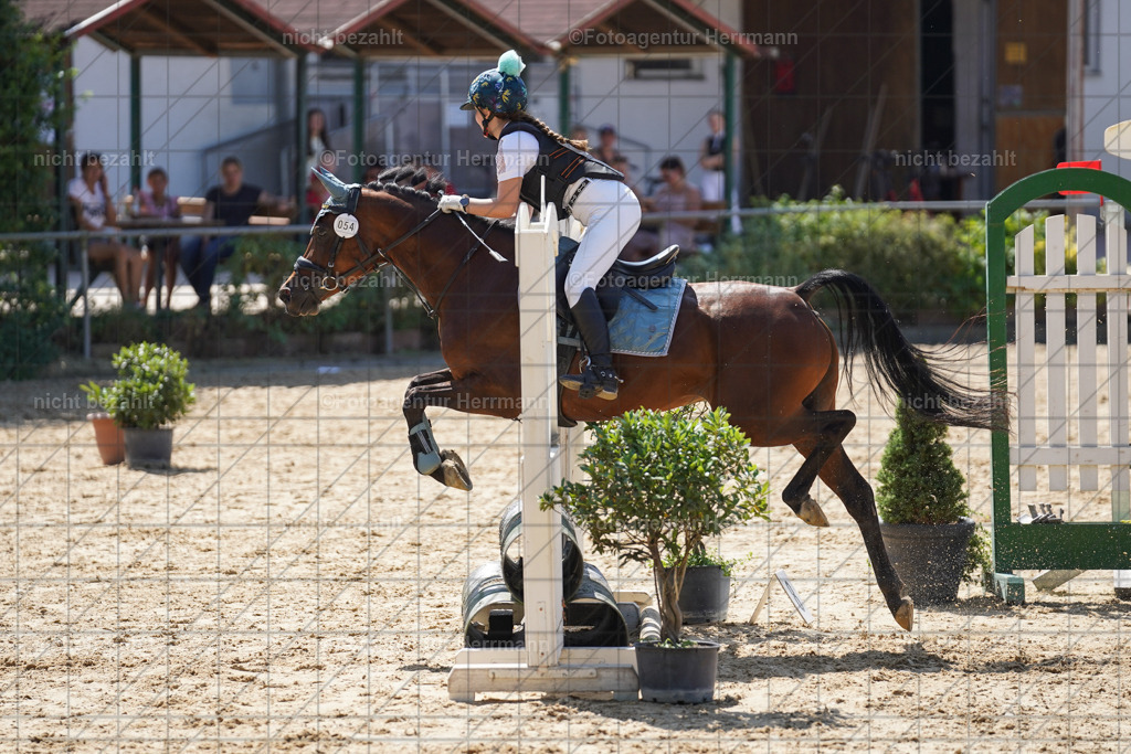 20240824-FAH08018 | Thierhaupten 2024, Bayerisches Landesponyturnier, Turnierbilder, Ponybilder, Turnierfotografen Bayern, Fotoagentur Herrmann