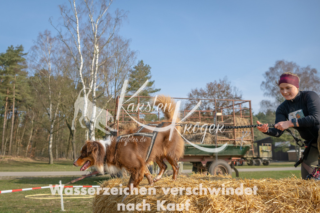 _ZZ94142 | kk-dogfotos