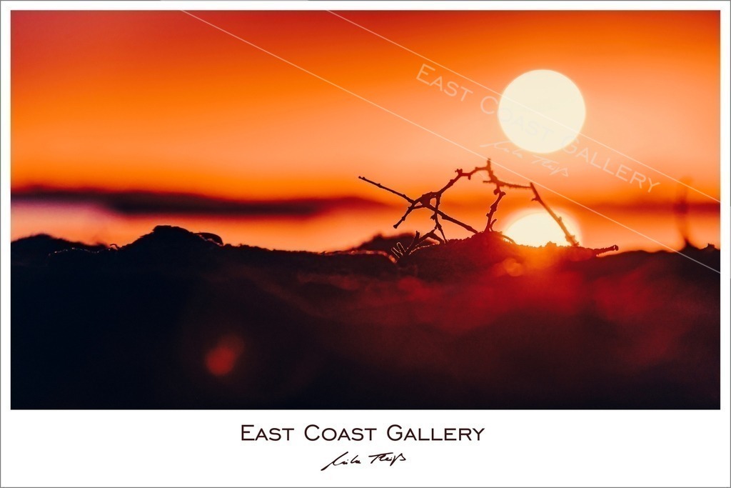 Sunset Flares | EastCoastGallery - Realisiert mit Pictrs.com