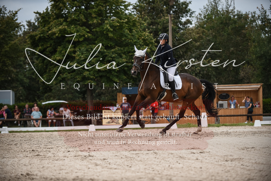 DSC_8469 | Pferde- und Turnierfotografie in Westsachsen. Pferdeportraits, Auftragszeichnungen und intuitive Kunst.