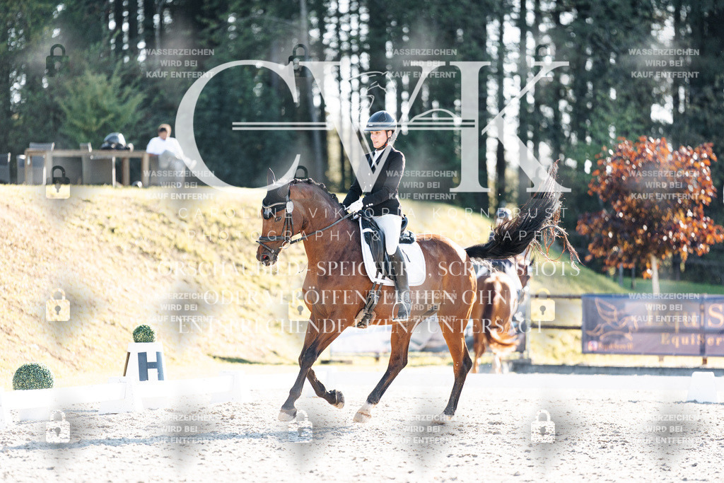 CK906810 | Turnierfotografie Pferdefotografie Trier Rheinland-Pfalz Pferdesport Reitsport Tierfotografie Sportfotografie Pferdevideo Pferdevideografie Equestrianvideography equestrianphotography  - Realisiert mit Pictrs.com