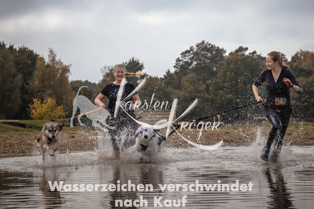 1339_ZZ94516 | kk-dogfotos