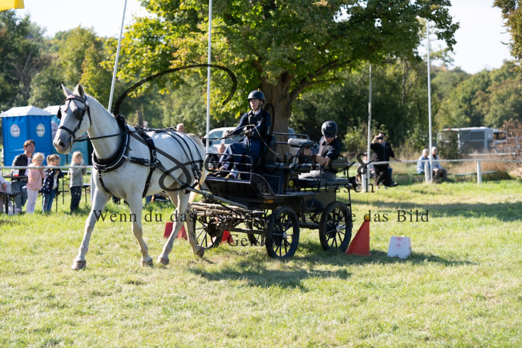 A7V04332 | Pferdefotograf