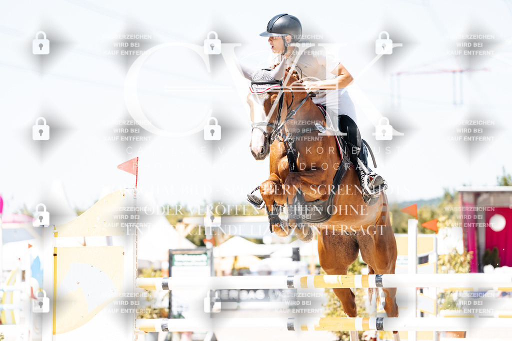 CK900084 | Turnierfotografie Pferdefotografie Trier Rheinland-Pfalz Pferdesport Reitsport Tierfotografie Sportfotografie Pferdevideo Pferdevideografie Equestrianvideography equestrianphotography  - Realisiert mit Pictrs.com