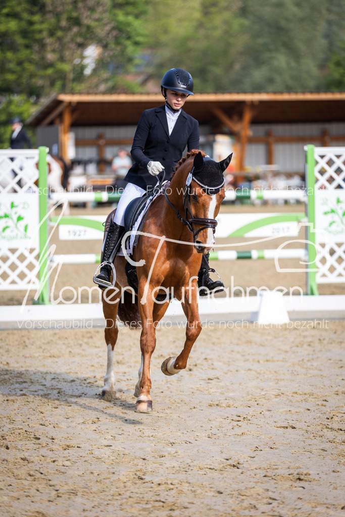 Donop24-A-Dre-086 | MomenTaufnahmen Pferdesportfotos