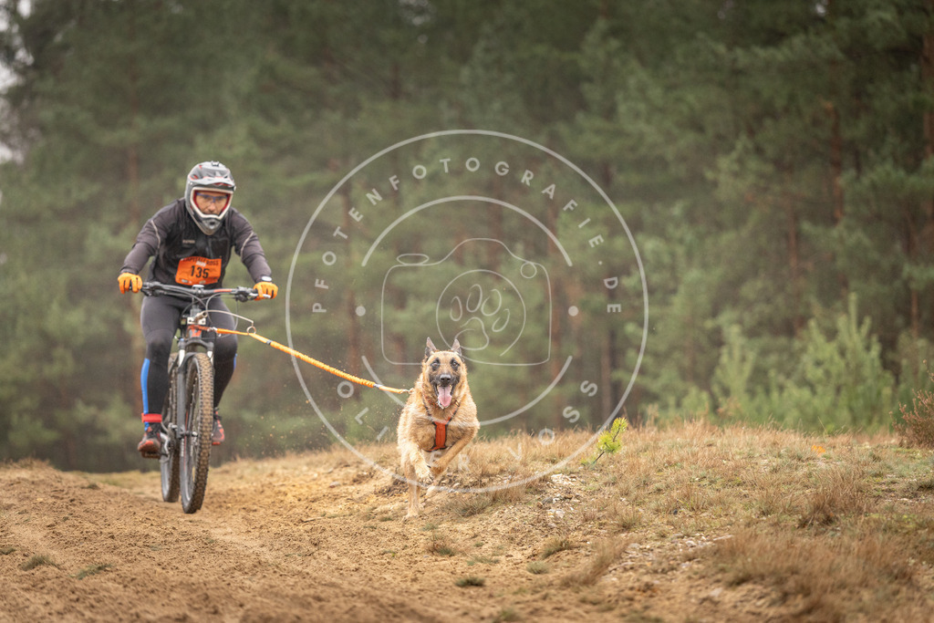 Pfotenfotografie_DV3A3807 | Hundefotografie, Tierfotograf, Pfotenfotografie, Fotoshooting Hund, Hunde Portrait, Hundesport, Hundeportraits, Heideshooting, Hunde, Sportfotograf, Hundefotograf, Turnierhundsport, THS,  - Realisiert mit Pictrs.com