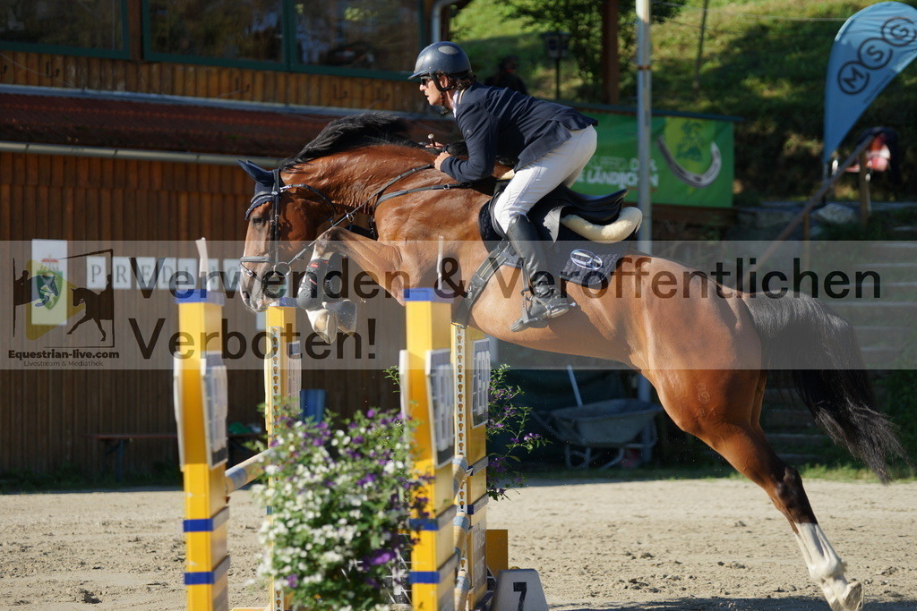 DSC02214 | equestrian-live-com