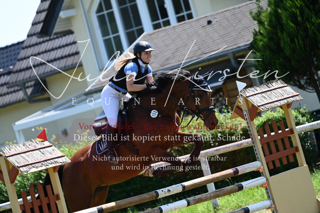 DSC_0676 | Pferde- und Turnierfotografie in Westsachsen. Pferdeportraits, Auftragszeichnungen und intuitive Kunst.