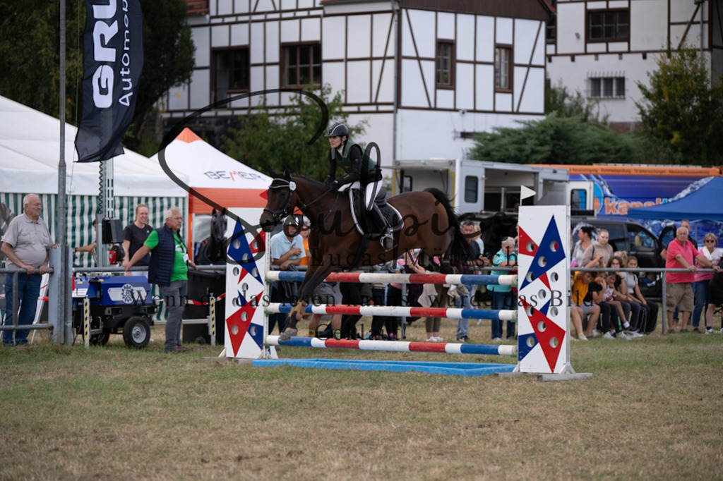 A7V09492 | Pferdefotograf