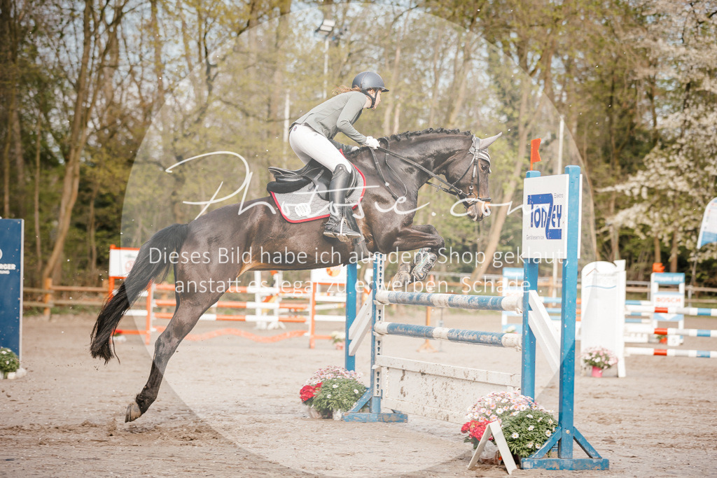 3I6A3330 | Stimmungsvolle Portraits und Reitsportfotografie im Ruhrgebiet und im Münsterland.

Pferdefotografie, Hundefotografie, Tierfotografie, Reportagen, Portraits von Tier und Mensch, Turnierfotografie in Bochum, Recklinghausen, Marl, Haltern am See, Dülmen.. - Realisiert mit Pictrs.com