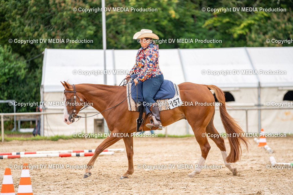 LM Heiligenwald Tag 3-979 | dv-media-shop - Realisiert mit Pictrs.com