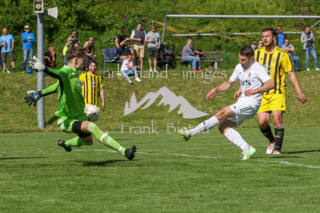 993T8297 | das 1:1, Denis Sharankov