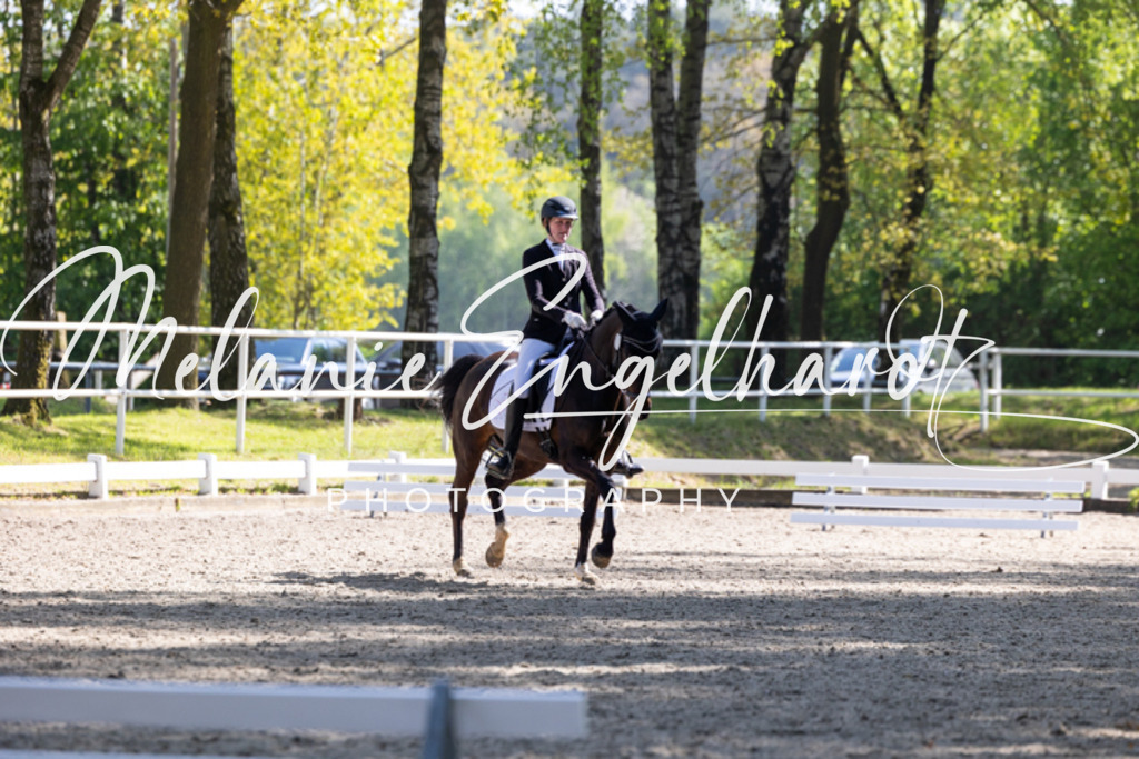 7I8A1951 | melanie-engelhardt-photography - Realisiert mit Pictrs.com