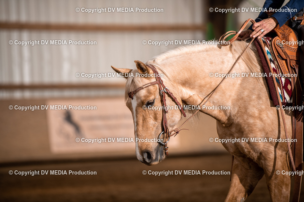 Balingen Tag 2-808 | dv-media-shop - Realisiert mit Pictrs.com