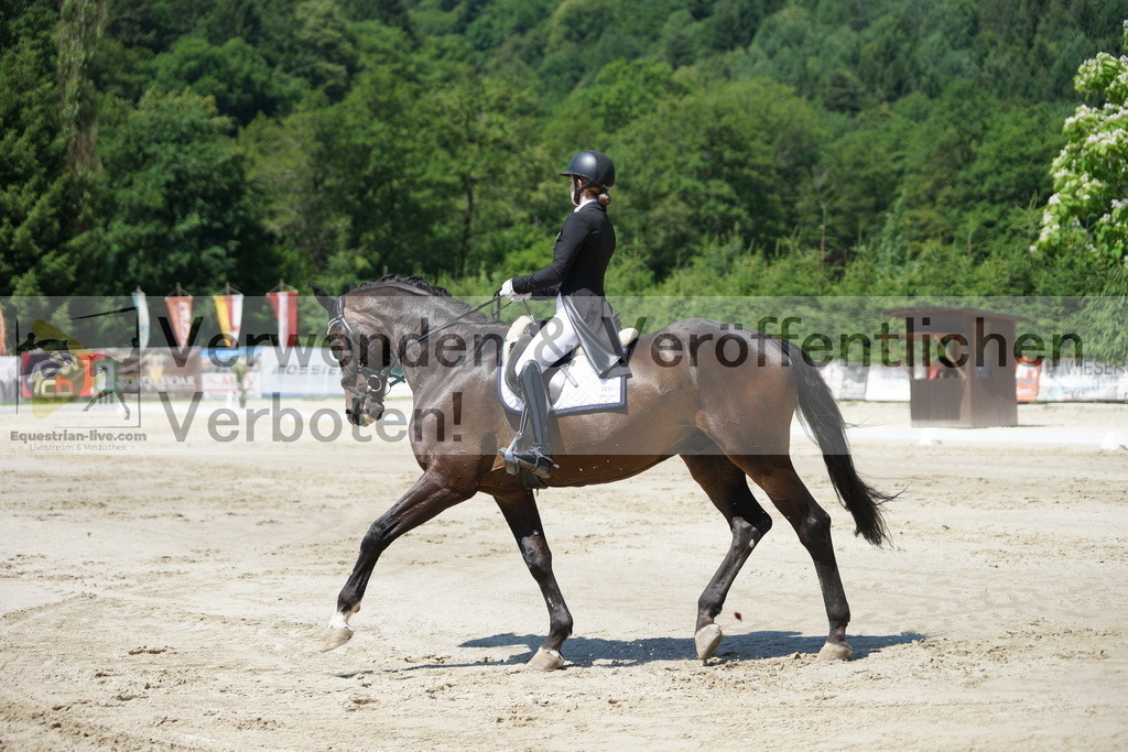 DSC03231 | equestrian-live-com