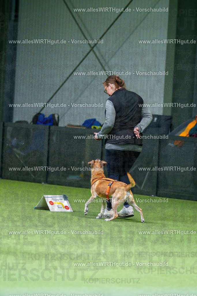 7R506203 | Professionelle Tierfotografie in Mönchengladbach von Daniel Wirth (allesWIRTHgut). Liebevolle & natürliche Bilder von Hunden & Katzen für unvergessliche Erinnerungen.