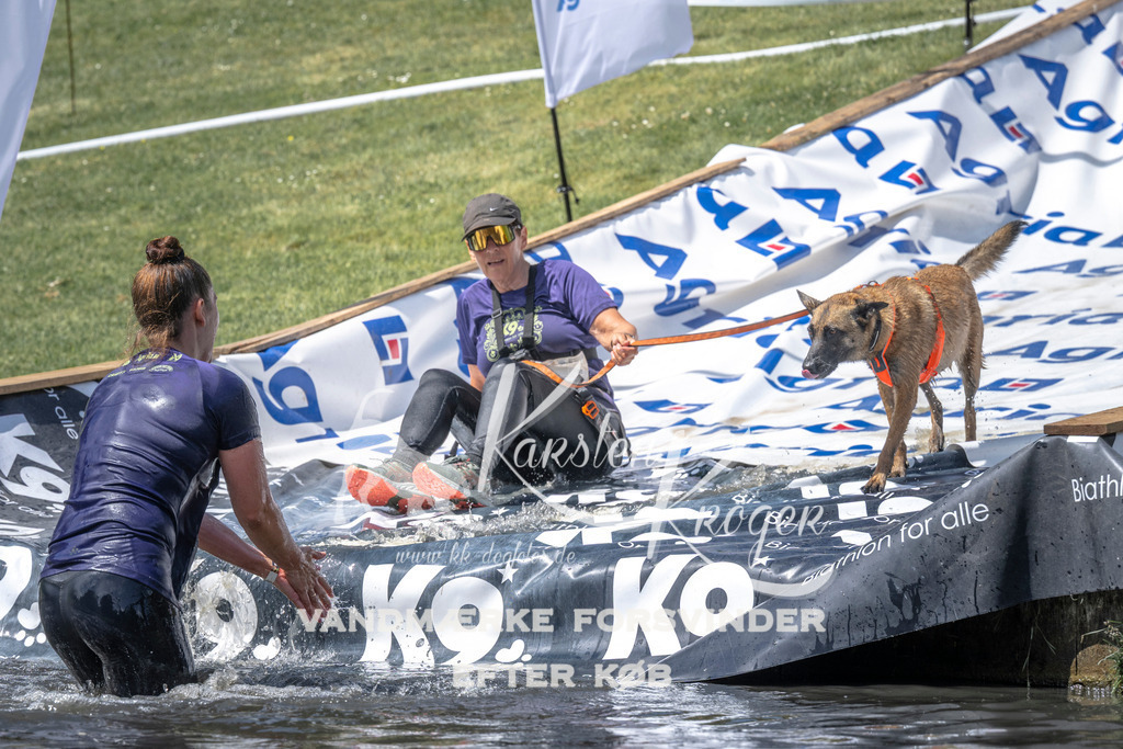 1243_ZZ98737 | kk-dogfotos