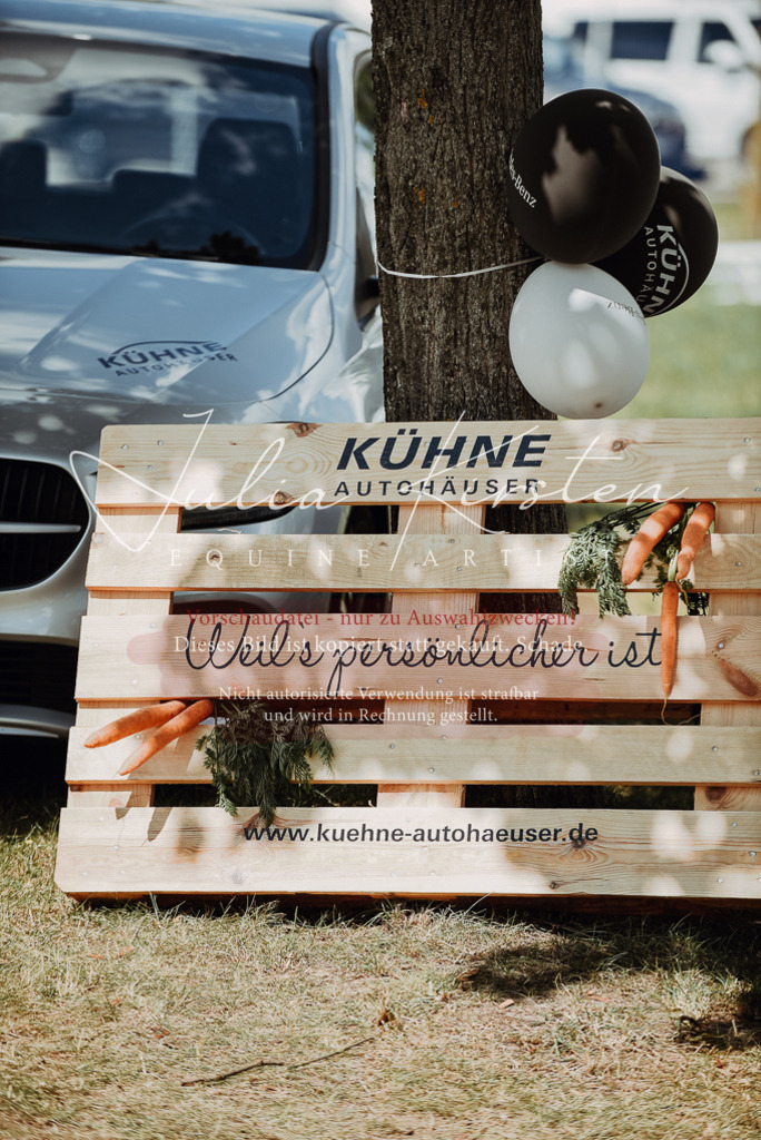 DSC_6414 | Pferde- und Turnierfotografie in Westsachsen. Pferdeportraits, Auftragszeichnungen und intuitive Kunst.