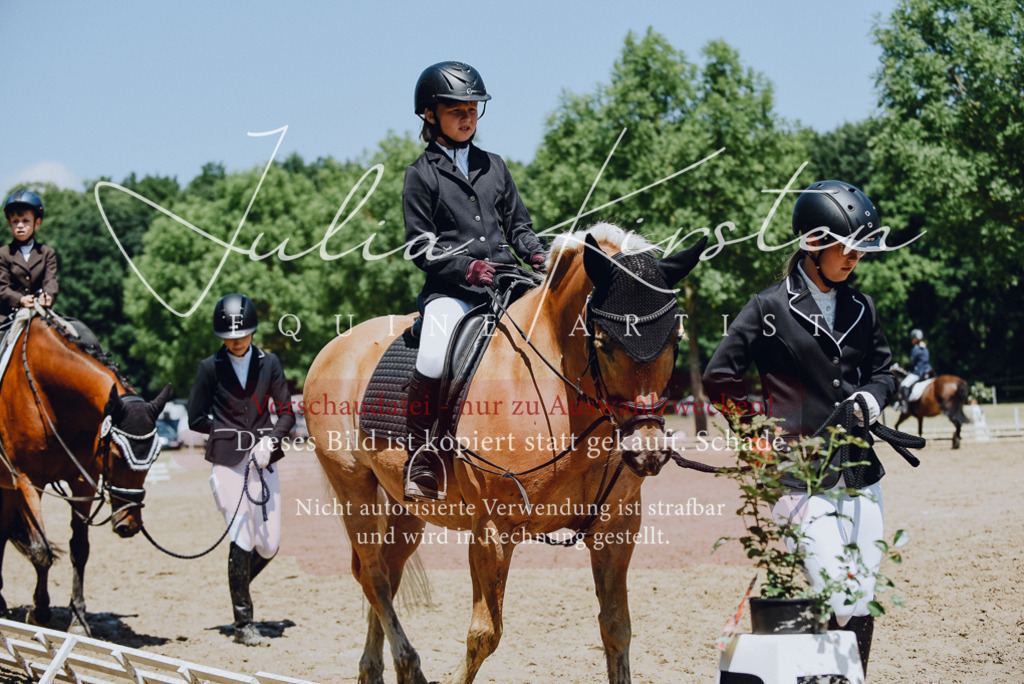 DSC_2238 | Pferde- und Turnierfotografie in Westsachsen. Pferdeportraits, Auftragszeichnungen und intuitive Kunst.