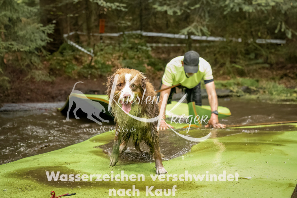 1231_ZZ90061-Bearbeitet | kk-dogfotos