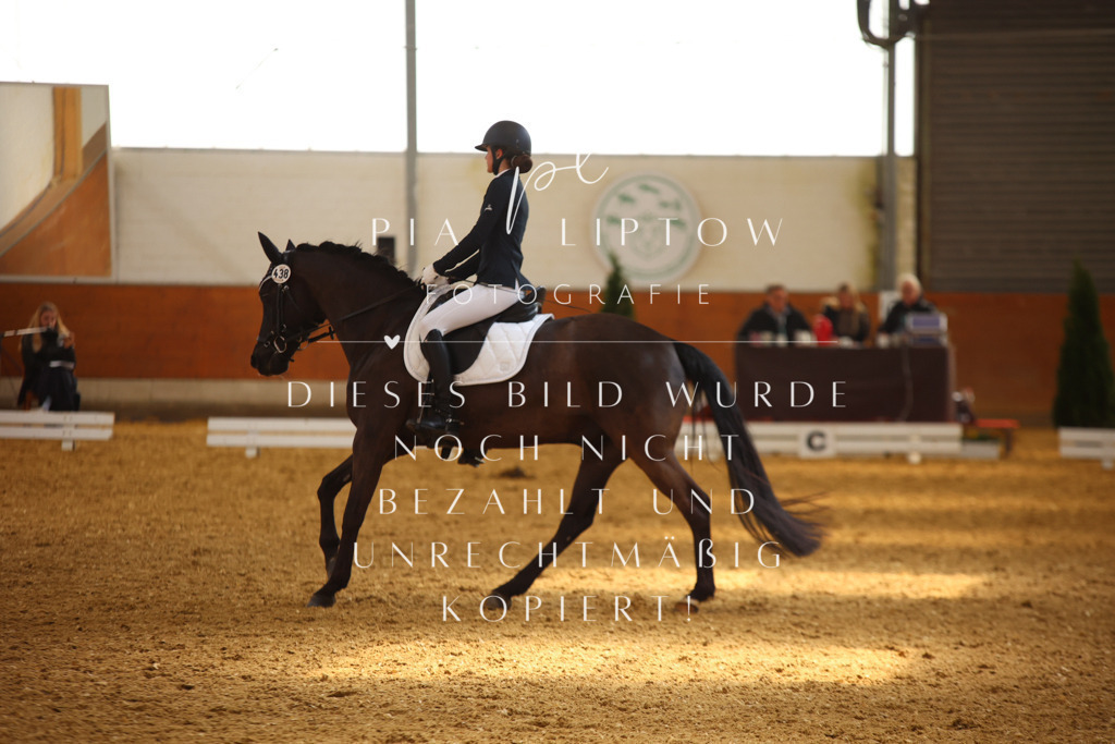 IMGT4158 | pl-fotografie