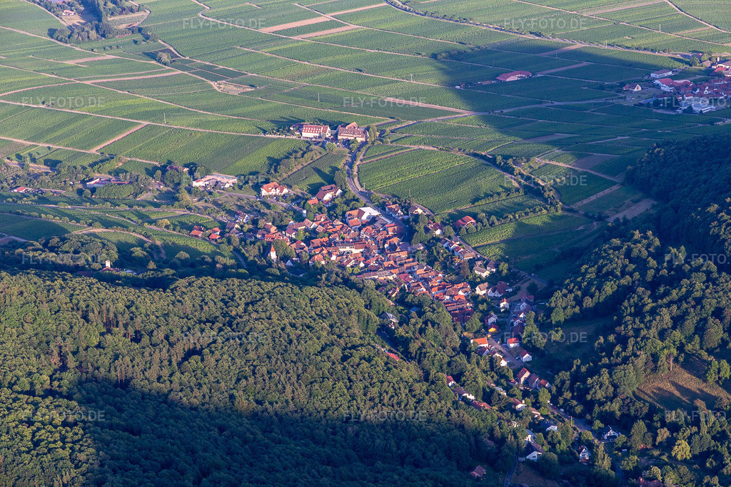 Luftbild:  in Leinsweiler im Bundesland Rheinland-Pfalz in Deutschland. Foto: IMG_133664.jpg vom 18.07.2022 durch Werner Riehm/FLY-FOTO.deLeinsweiler - wo die Pfalz am schönsten ist