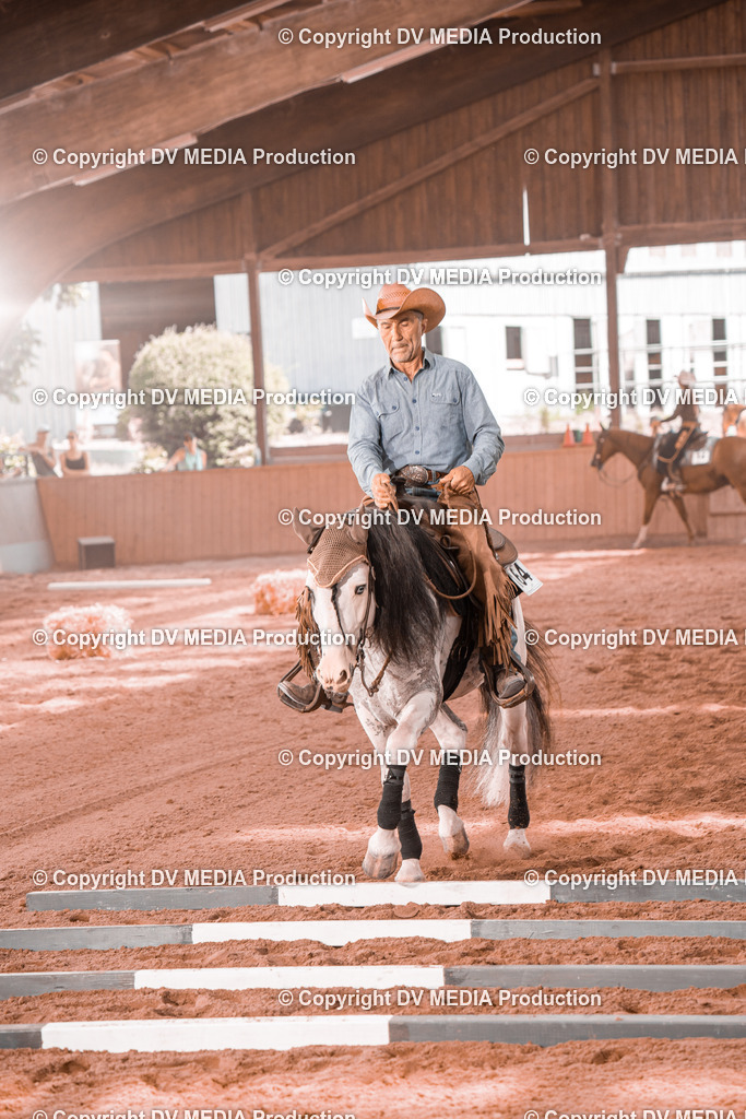 NE300336 | dv-media-shop - Realisiert mit Pictrs.com