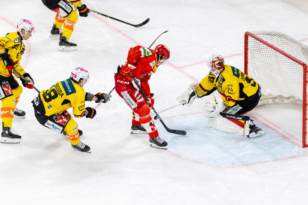 EHCB vs SCB 20260312_wb-4075 | Sportbilder, Sportfotograf, Hochzeits- und Eventfotografin, Flugshows, Portraits und Tiershooting, Aviation, Downhill, Nationalleague, Swissleague, International