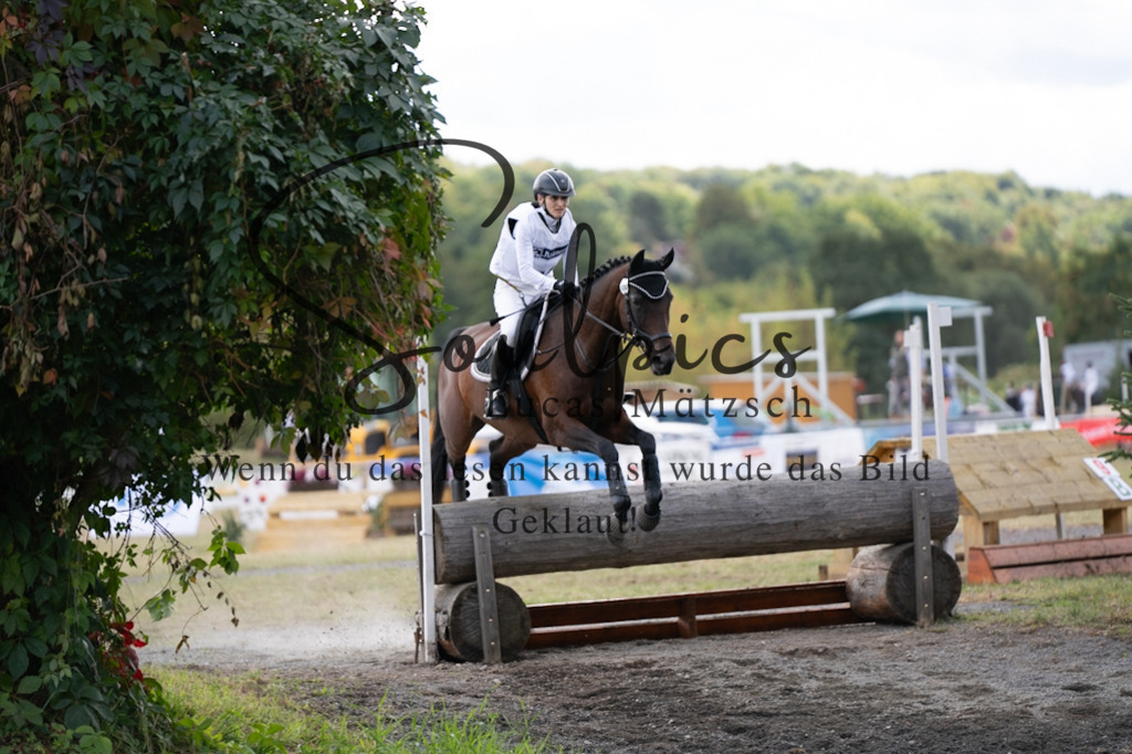 A7V01061 | Pferdefotograf