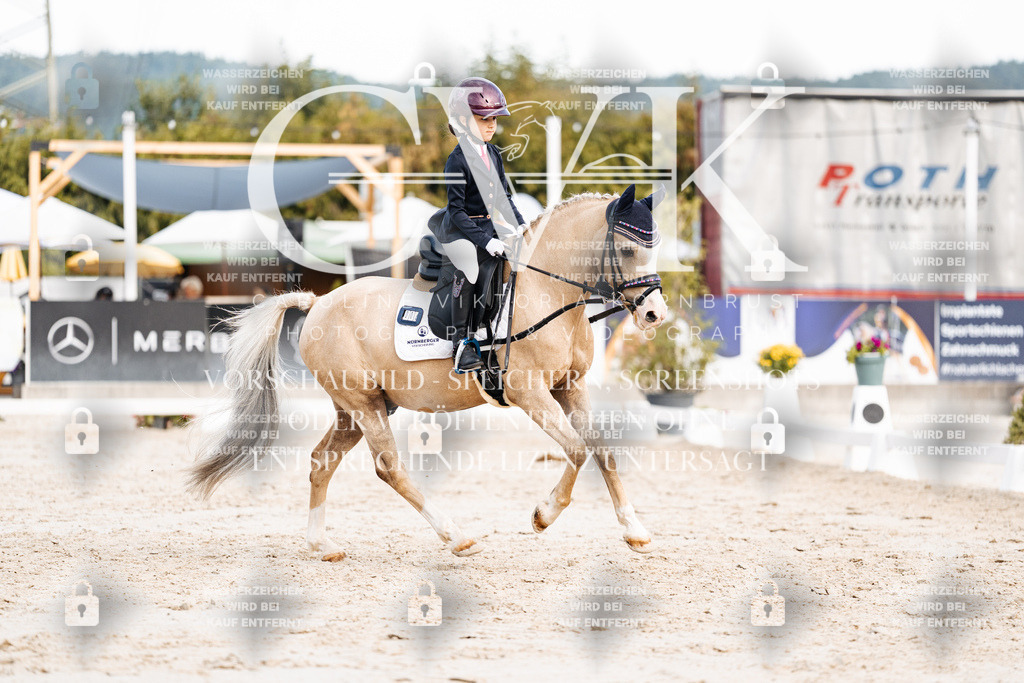 CK904683 | Turnierfotografie Pferdefotografie Trier Rheinland-Pfalz Pferdesport Reitsport Tierfotografie Sportfotografie Pferdevideo Pferdevideografie Equestrianvideography equestrianphotography  - Realisiert mit Pictrs.com